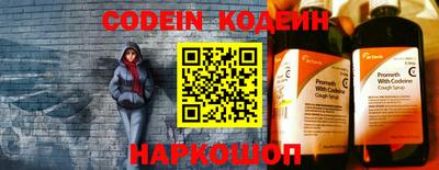 индика Боровичи
