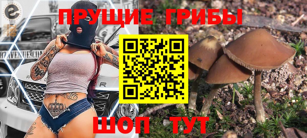 Галлюциногенные грибы GOLDEN TEACHER  Галлюциногенные грибы мухоморы  Братск  Вход с VPN 