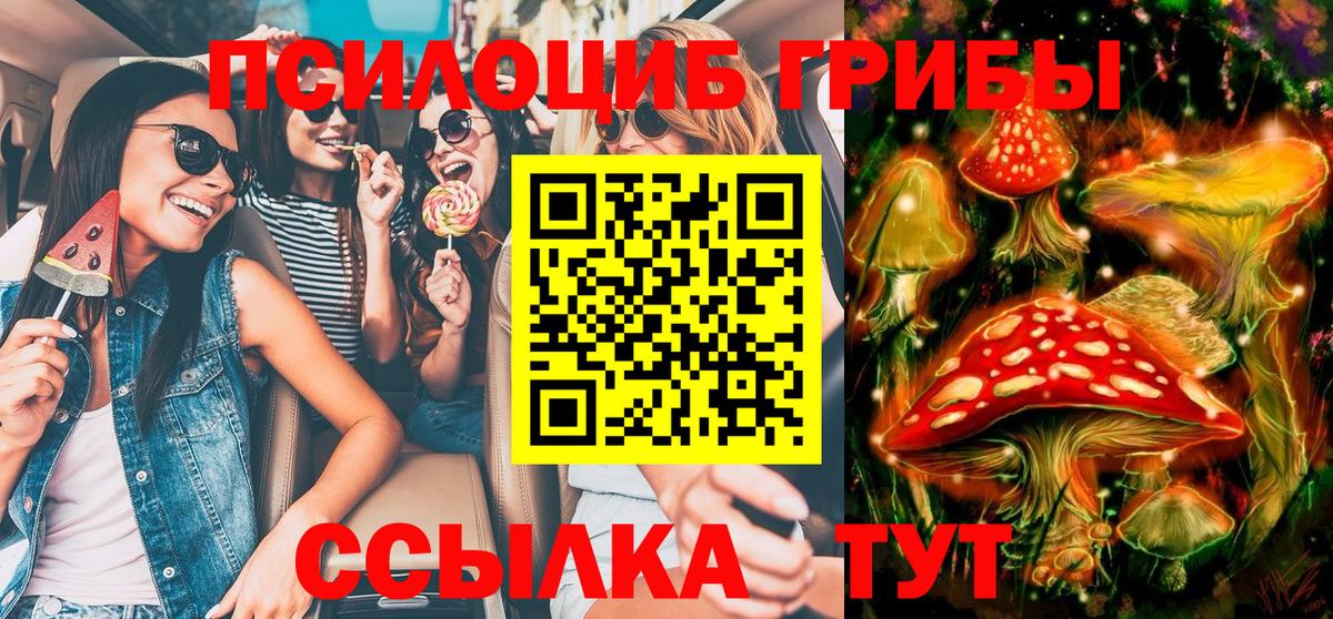 Псилоцибиновые грибы ЛСД Братск